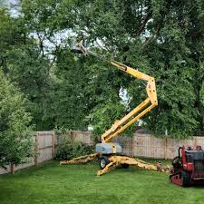 Best Tree Trimming and Pruning  in USA